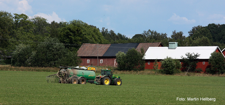 Bild på gödselspridning med traktor.
