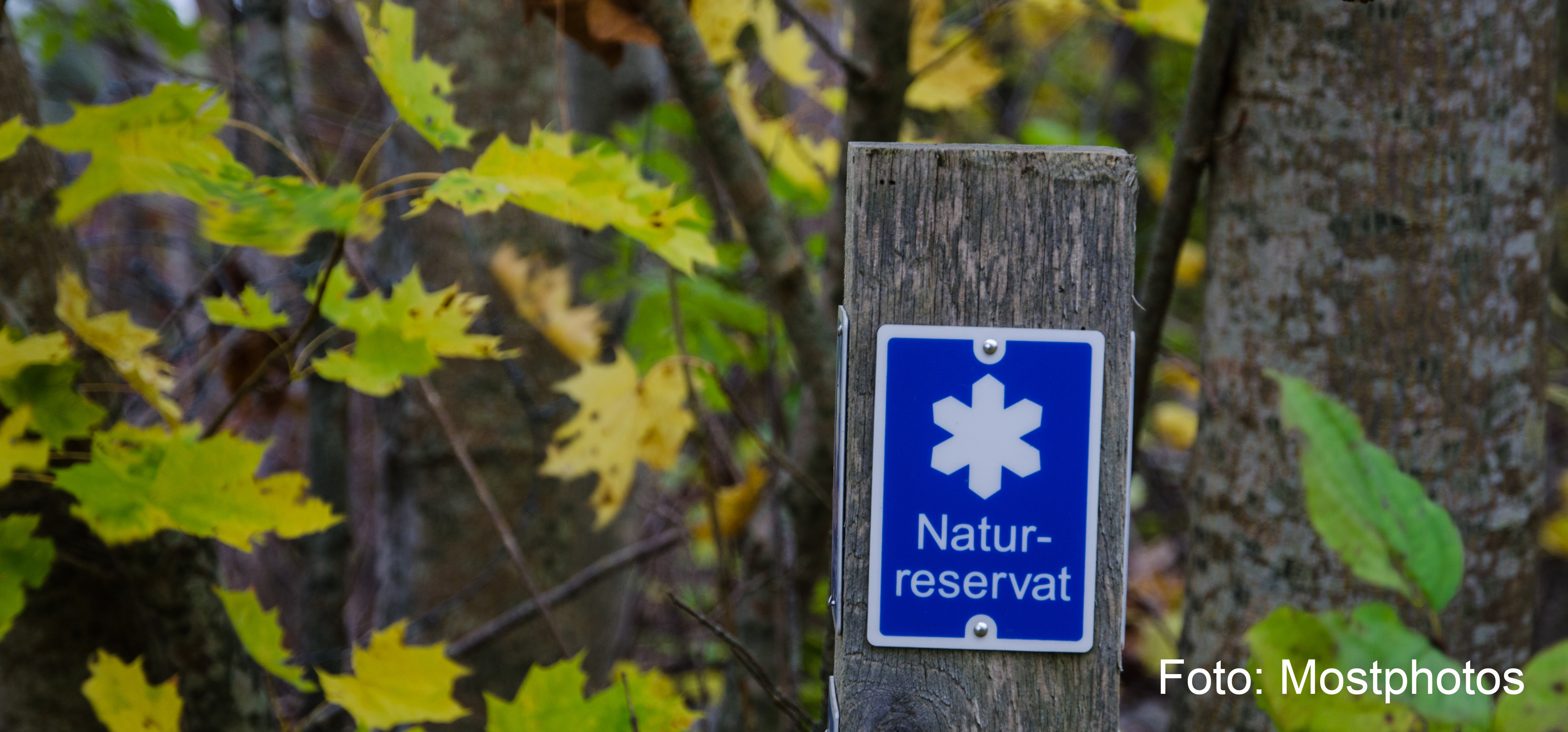 Bilden visar en skylt för naturrreservat med gröna löv bakom.